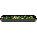 Bandeja exhibicion showfest octagonal 5.8 lt negro Cambro