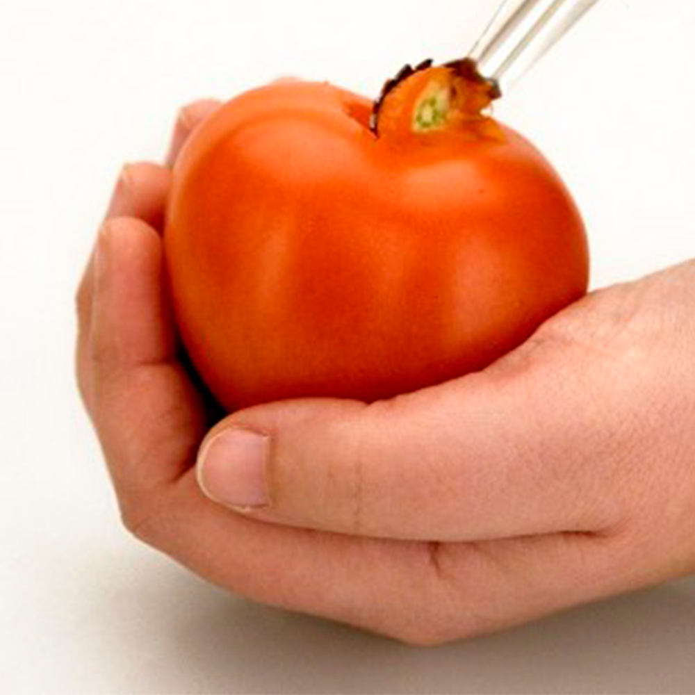 Descorazonador tomate 10.5 cm en acero inoxidable - Browne