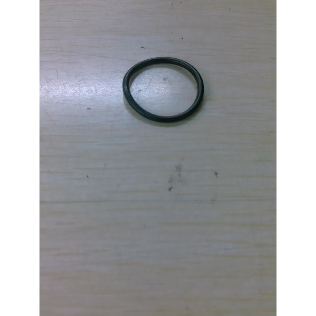 Anillo - Taylor Freezer