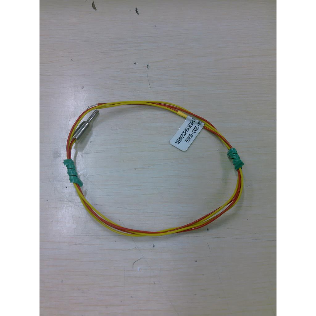 Automatic steam thermocouples - La Cimbali
