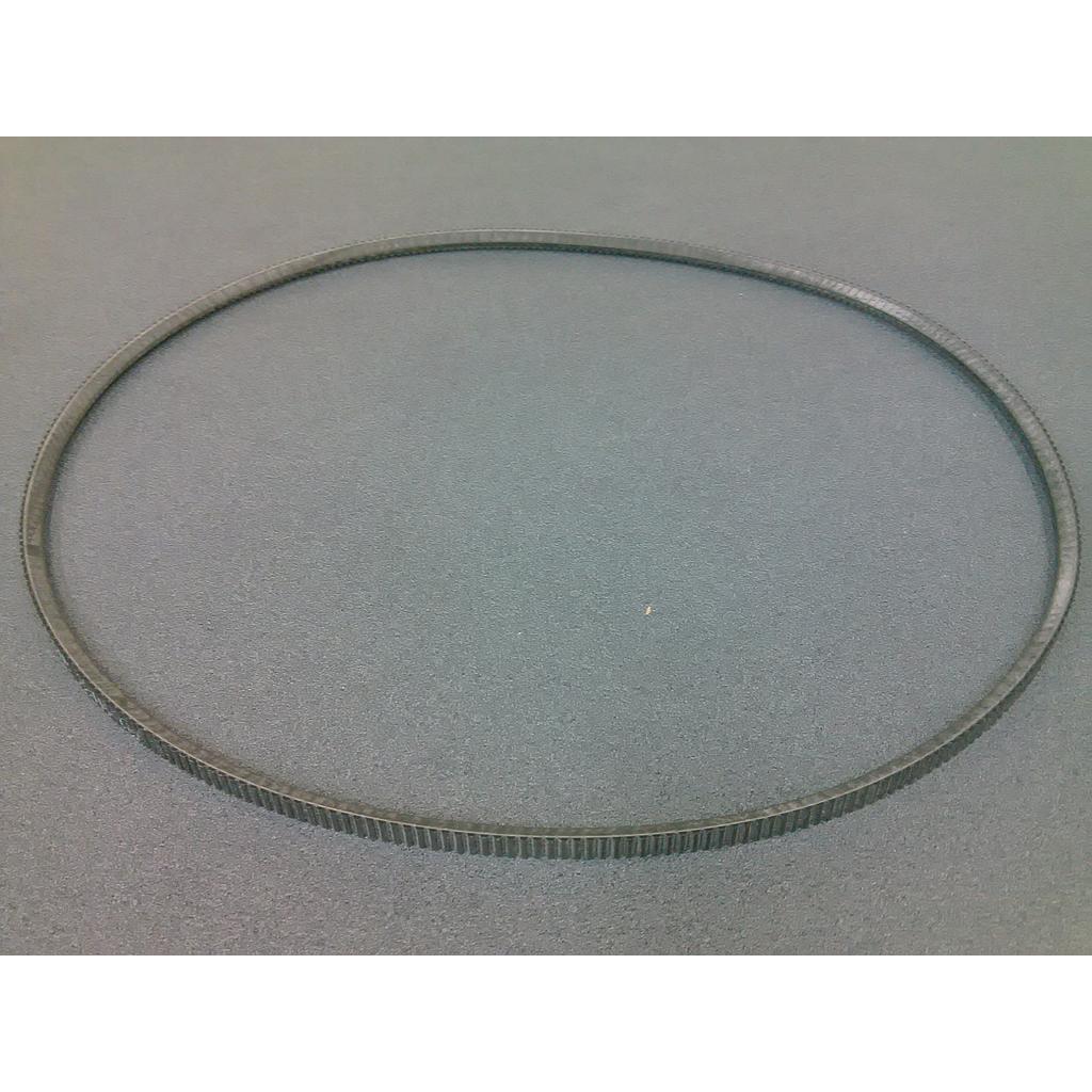 Belt - Dynasty