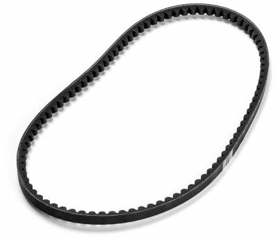 Belt - Taylor Freezer