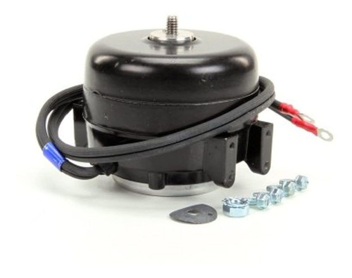 Motor sp b9hs16 115v 60hz (Outlet) - True