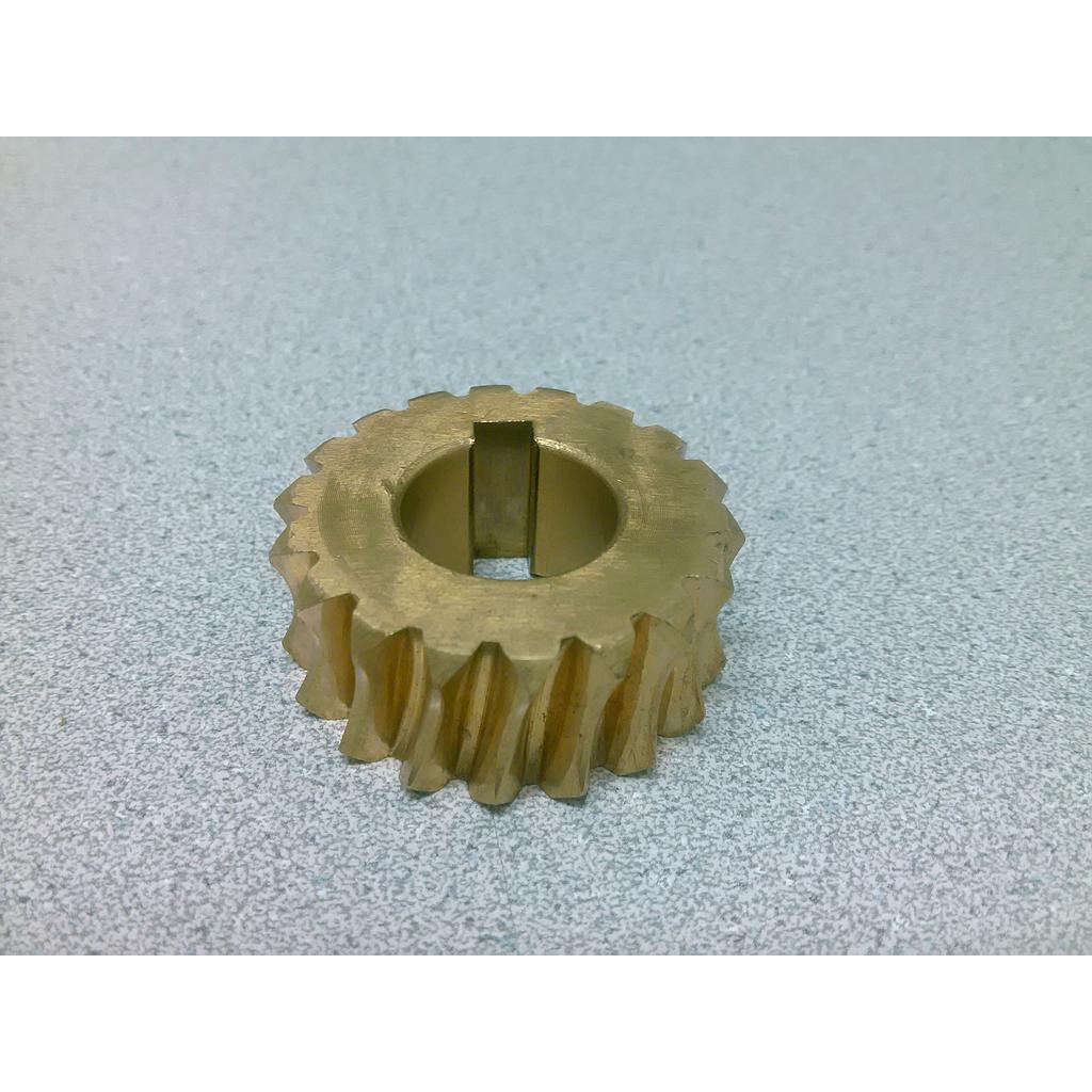 Worm gear - Dynasty