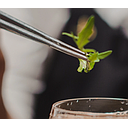 Pinza de precisión recta 8" - Browne