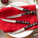Set de 4 Cuchillos para Carne 12 cm - Gourmet (Outlet) - Wusthof