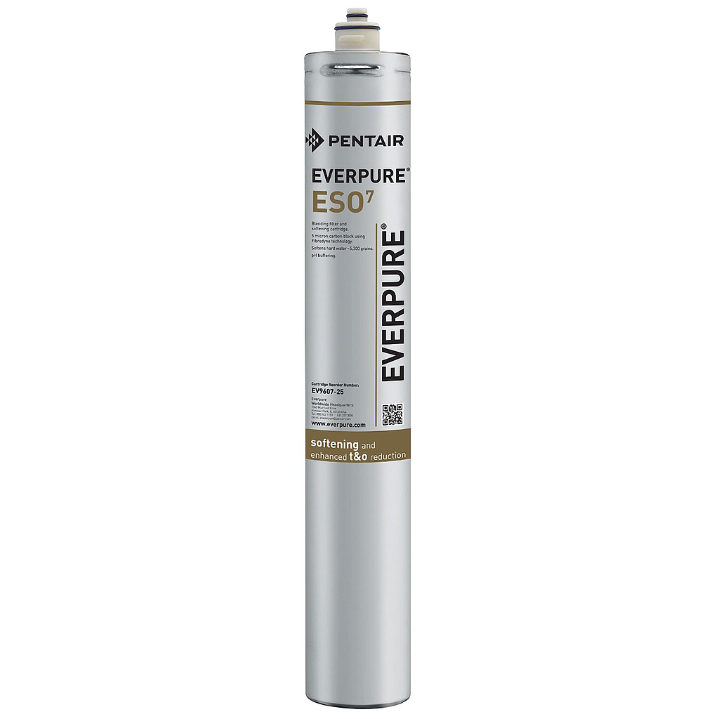 Cartucho de filtrado para máquinas de espresso - Everpure