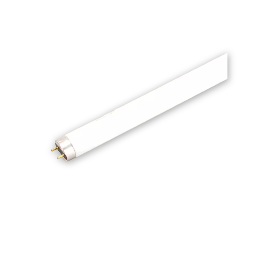 [801155] Lamp f032/865/xp/eco 48" - True