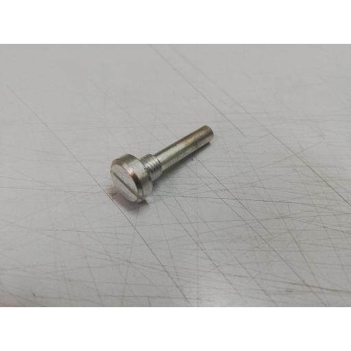 [30-] Arm screw - Sunkist