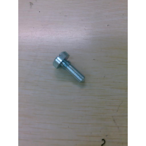 [33] TORNILLO DE RESORTE A LA CARCASA ECC. 1 - Sunkist